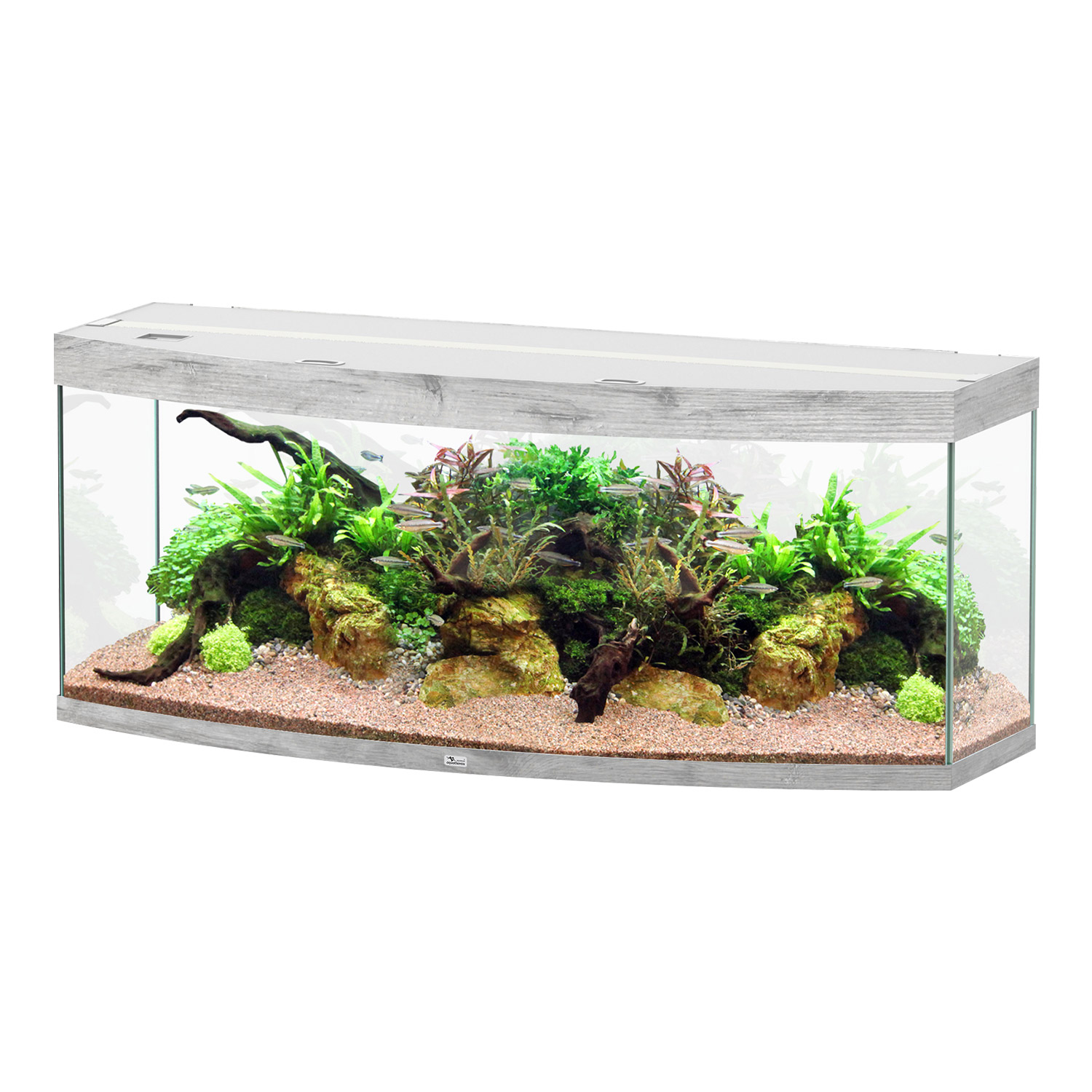 130 gal Sublime Bowfront Set w/ Light 60x22x24 Grey Aqualantis