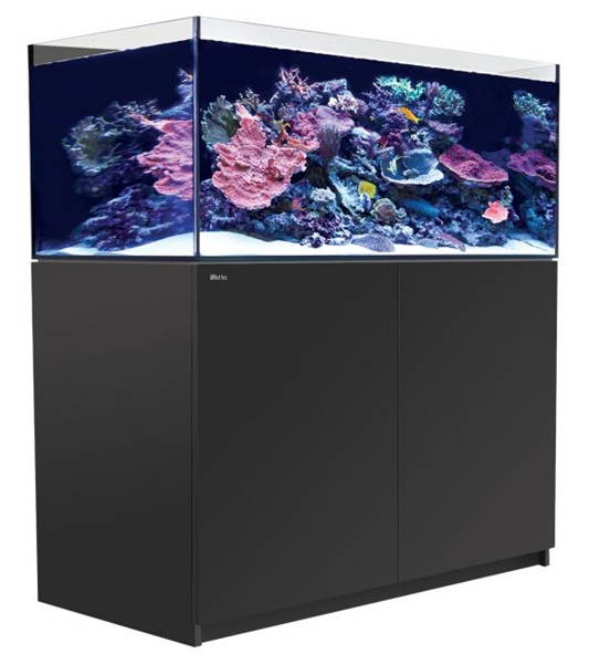 Saltwater Tank Selection Guide