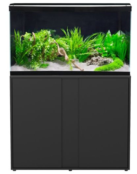 Tank Selection Guide: Freshwater