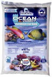 SEA OCEAN DIRECT LIVE 20LB CARIBSEA